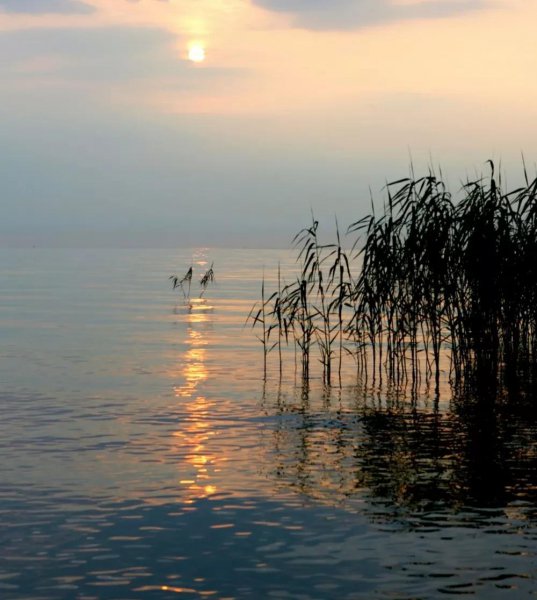 中国的四大海是哪四个