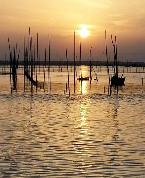 中国的四大海是哪四个