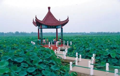 中国的四大海是哪四个