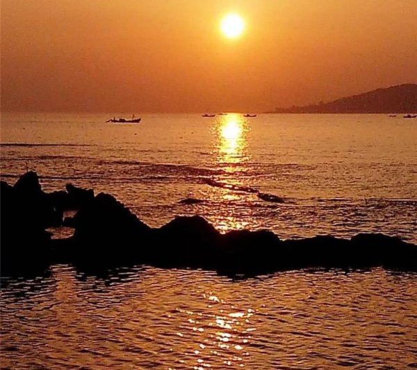 中国的四大海是哪四个