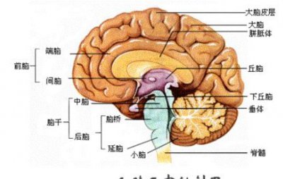 人类最终会消失吗 人类的结局终将以哪种方式消失