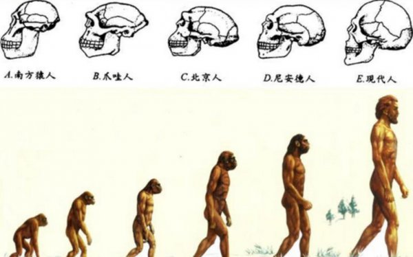 人类最终会消失吗