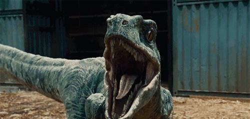 人类最终会消失吗