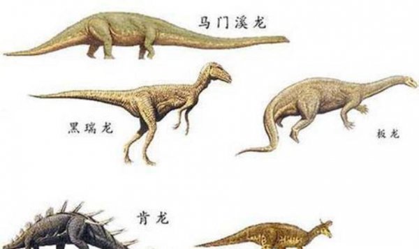 人类最终会消失吗