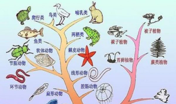 人类最终会消失吗