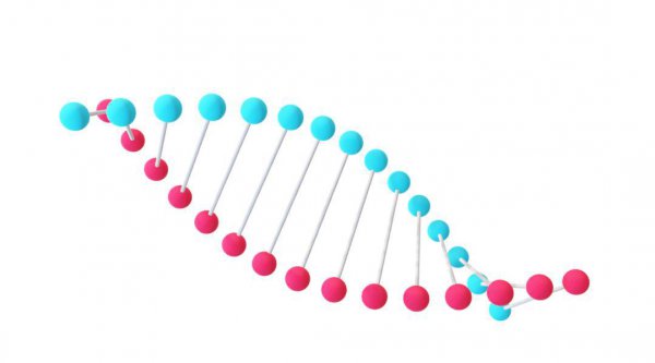 人类最终会消失吗