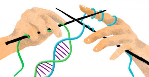 人类最终会消失吗