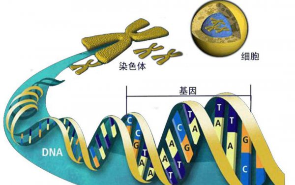 人类最终会消失吗