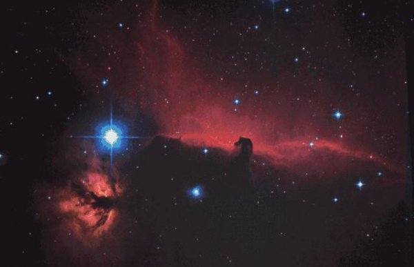 人类最终会消失吗