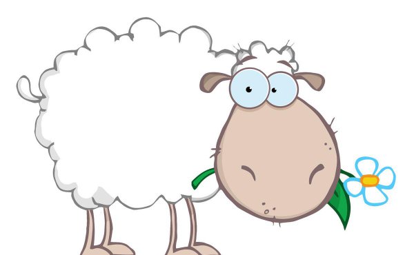 白羊男认定老婆的表现