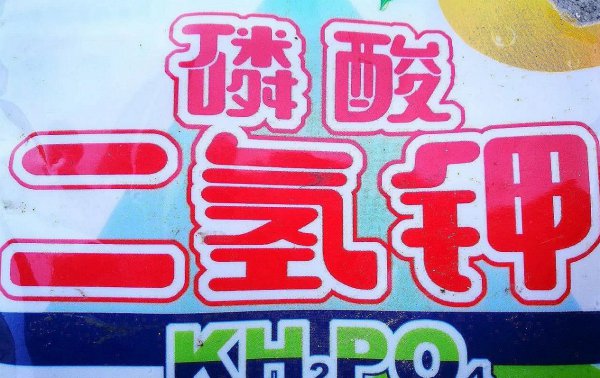 兰花施什么肥最好