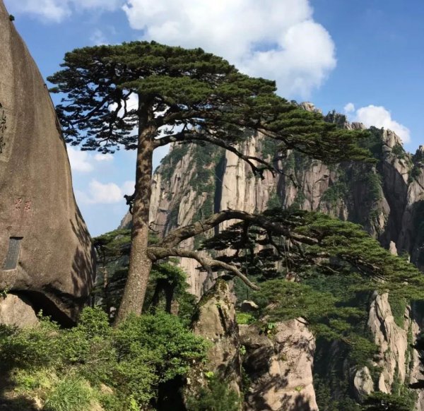 三山五岳指的是哪三山和哪五岳
