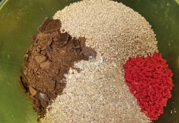 鲤鱼用什么钓最好上钩