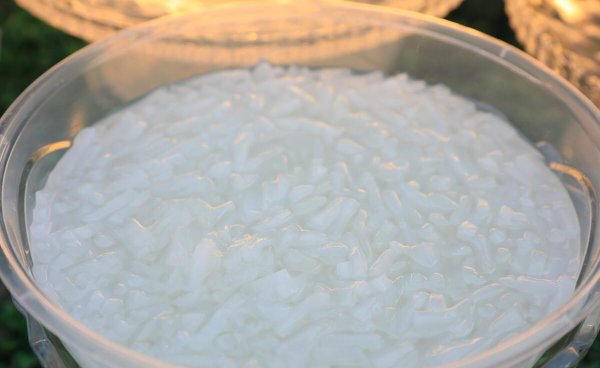 奶茶里椰果是什么做的