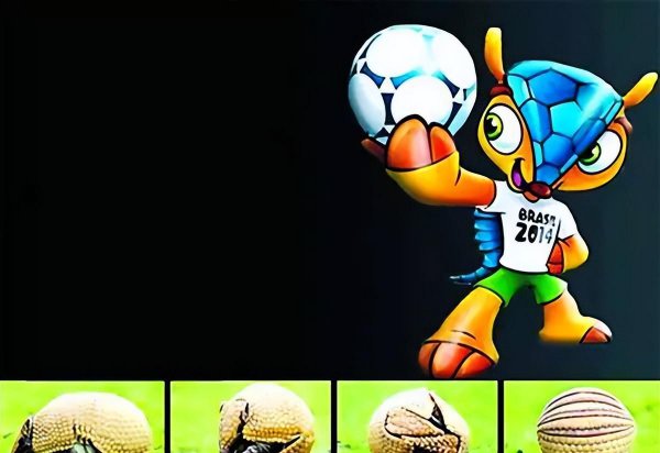 犰狳是什么动物简介