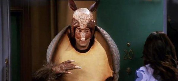 犰狳是什么动物简介