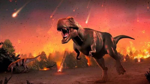 人类是怎么诞生的