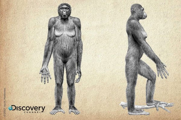 人类是怎么诞生的