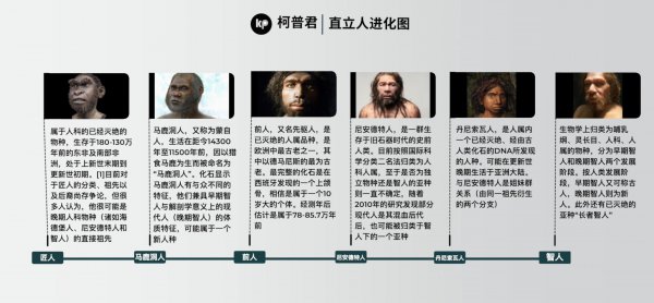 人类是怎么诞生的