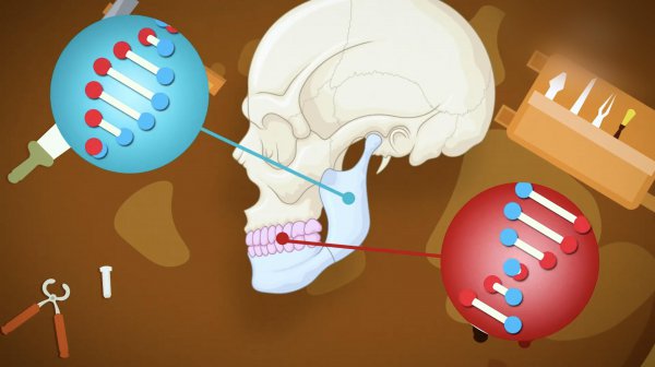 人类是怎么诞生的