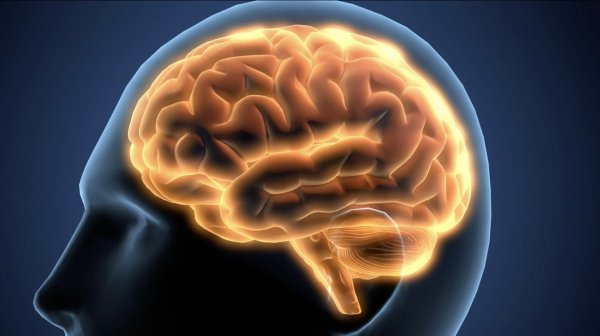 人类是怎么诞生的