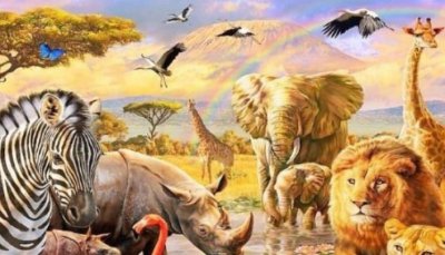 世界上三大不死的动物是什么 有长生不死的动物存在吗