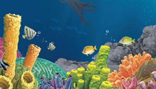 世界上三大不死的动物是什么