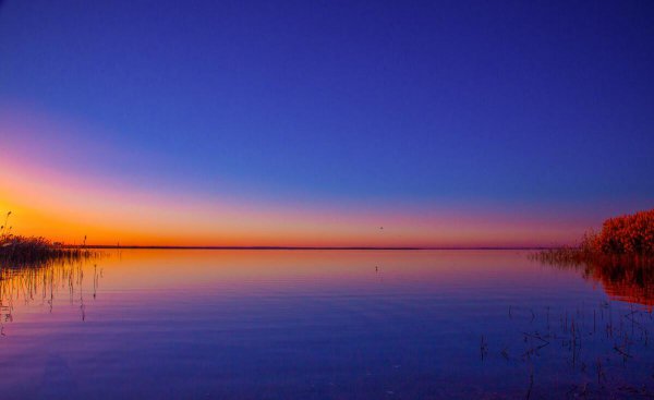 情侣的热恋期一般多久