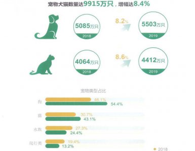 十大适合家养的狗有哪些 家养宠物狗排行榜前十名