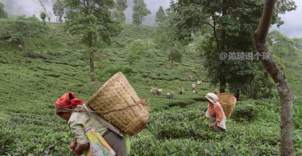 自由女神像在哪个国家