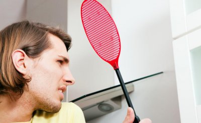 电蚊香液能杀死蚊子吗 电蚊香液对蚊子起什么作用