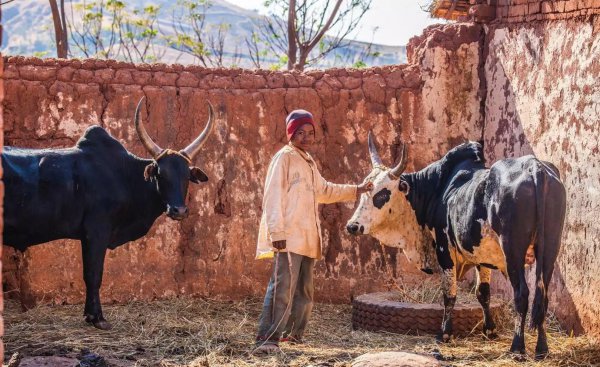 马达加斯加是哪个国家