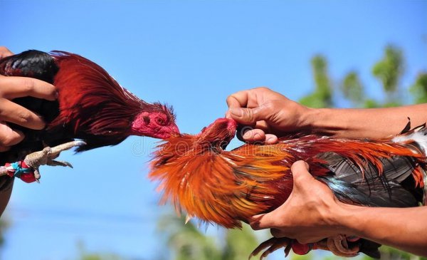清明节为什么不能出门