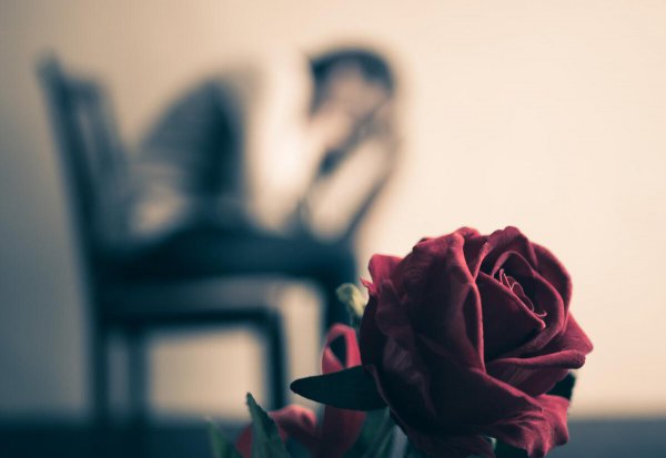 网络热词文爱是什么意思