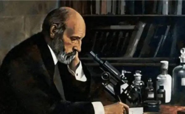 诺贝尔奖金多少钱