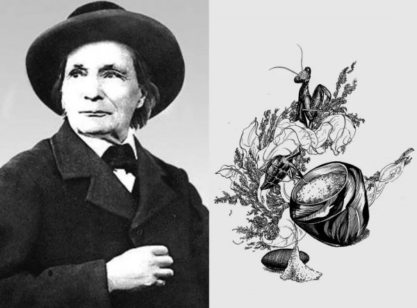 昆虫记被誉为什么