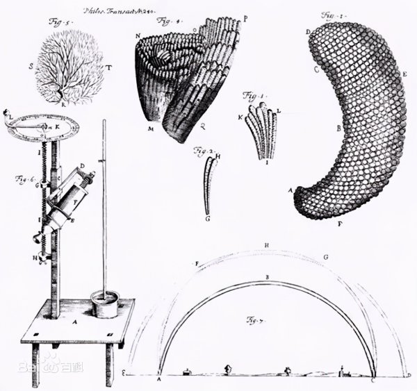 列文虎克发明显微镜的故事
