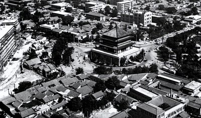 中国八三年蛇灾是怎么回事 关于1983年蛇灾发生始末