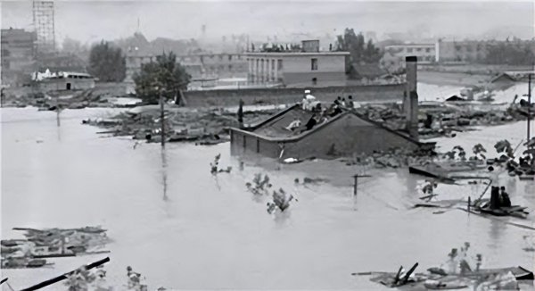 中国八三年蛇灾是怎么回事