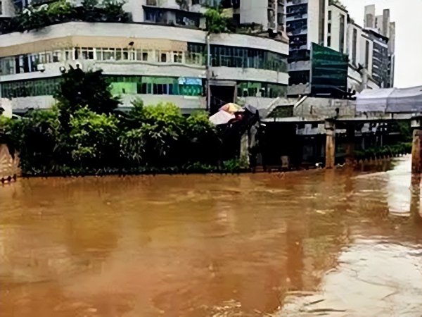 中国八三年蛇灾是怎么回事