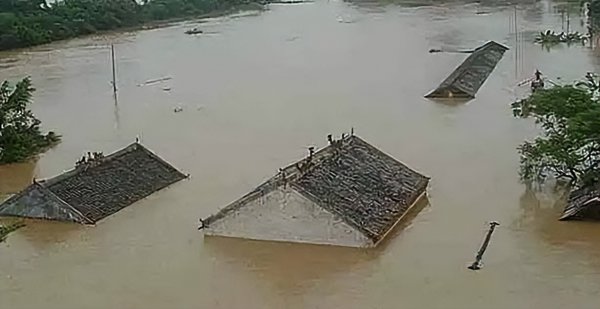 中国八三年蛇灾是怎么回事