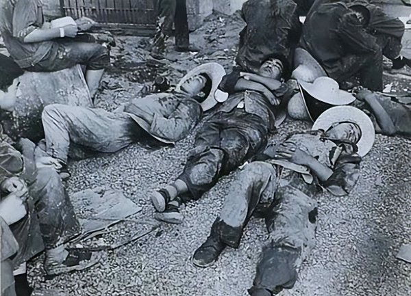 中国八三年蛇灾是怎么回事