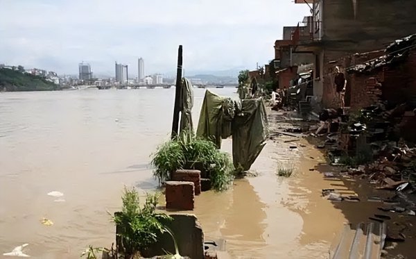 中国八三年蛇灾是怎么回事