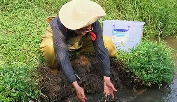 中国八三年蛇灾是怎么回事