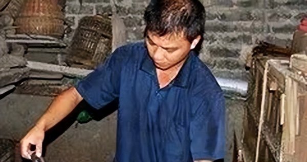 中国八三年蛇灾是怎么回事