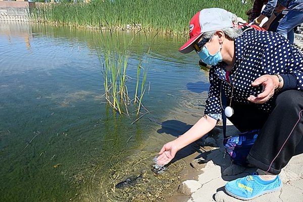 中国八三年蛇灾是怎么回事