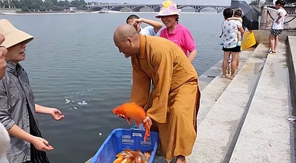 中国八三年蛇灾是怎么回事