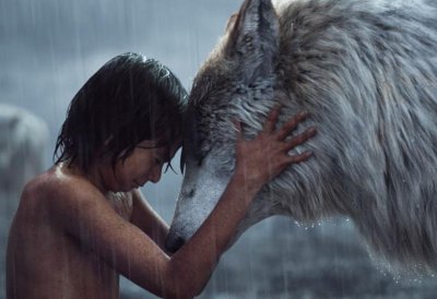 狼为什么会养人类婴儿 关于狼孩的真实案例有哪些