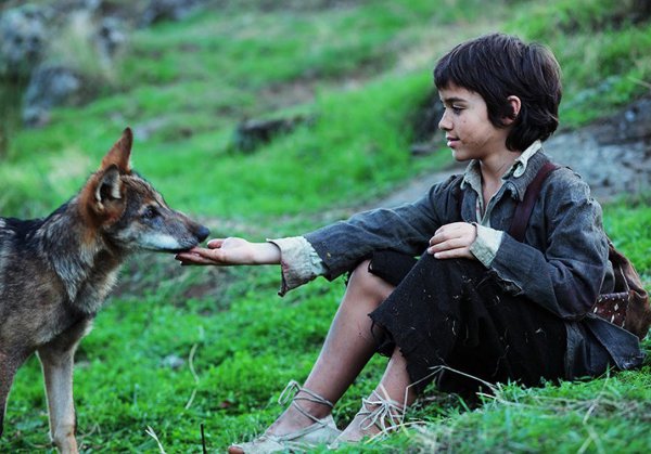 狼为什么会养人类婴儿