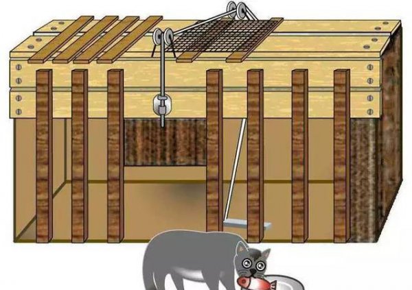 桑代克提出的三大定律